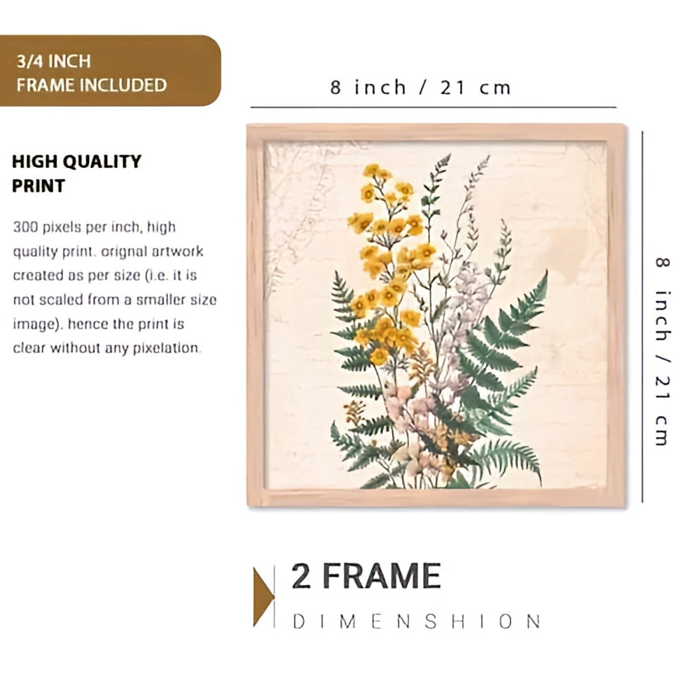 Vintage Botanical Floral Study – Set of 2 Minimalist Meadow Flower Framed Wall Art
