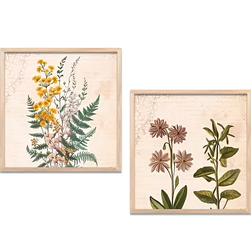 Vintage Botanical Floral Study – Set of 2 Minimalist Meadow Flower Framed Wall Art